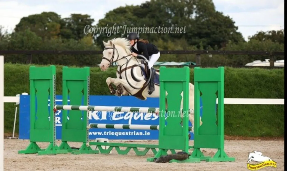 TALENTED 148 PONY - Image 3