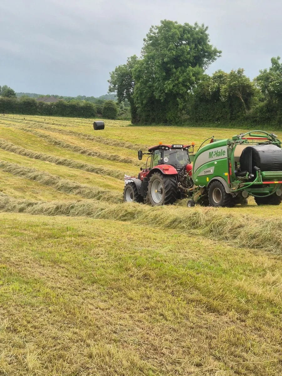 For sale: Top Quality Haylage from new grass