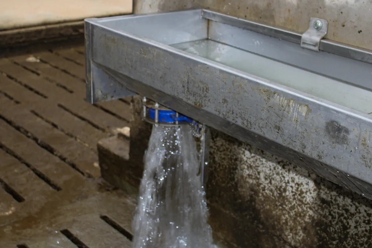 Teemore Stainless Steel Fast Empty Drinker Trough - Image 3