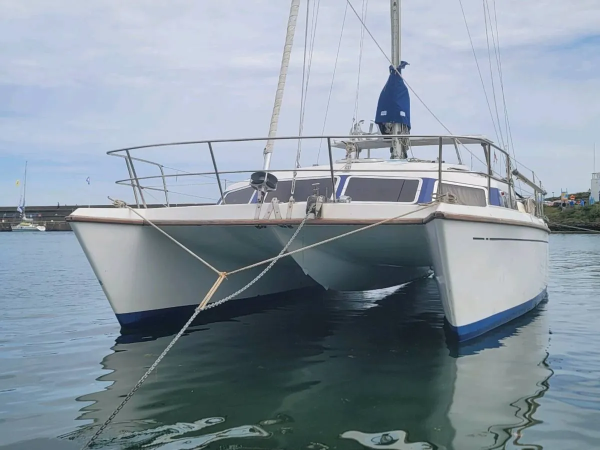 Prout Snowgoose 37 - Image 2