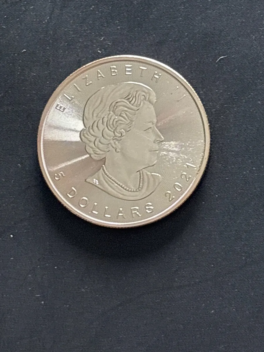 Silver coin - Image 2