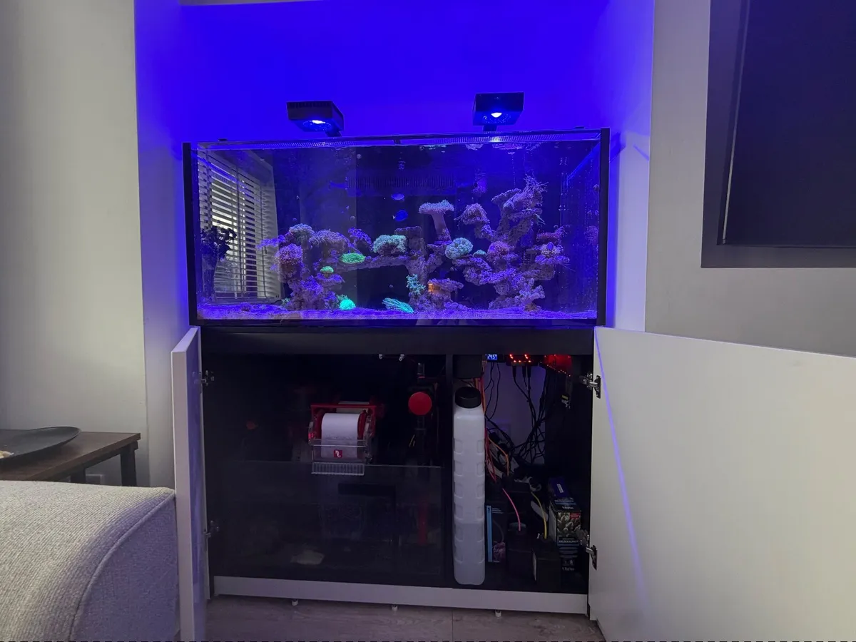 Salt water Aquarium tank - Image 2