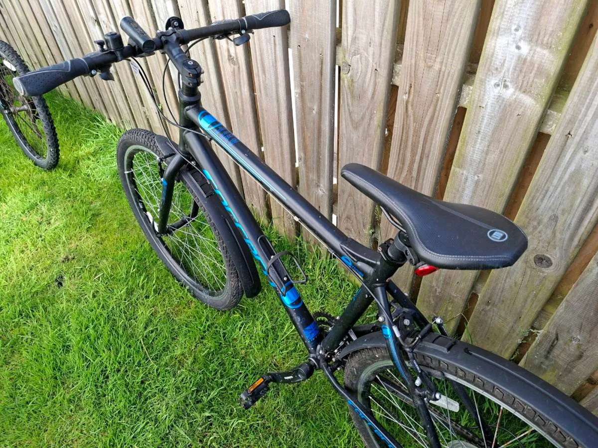Bikes - Image 3