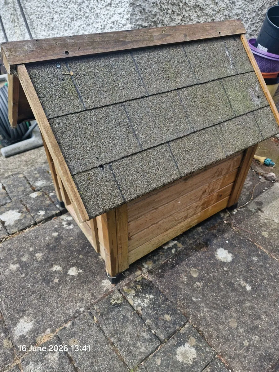 Dog house - Image 4