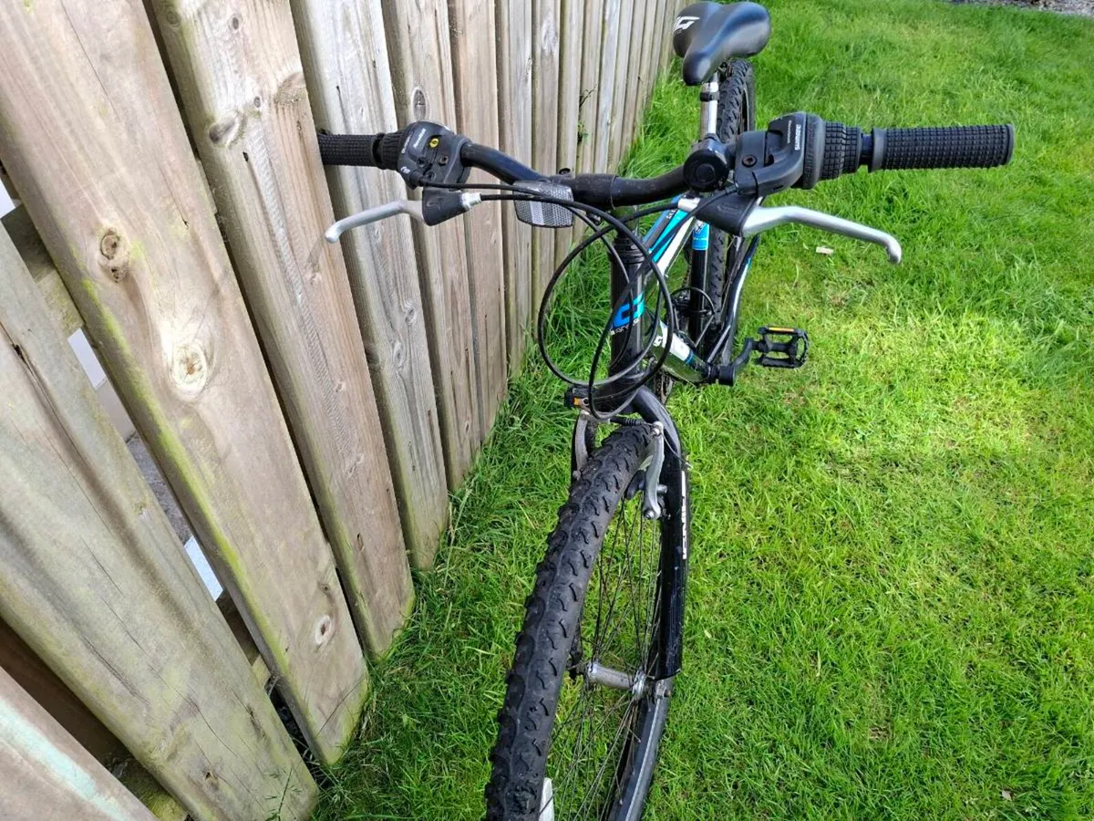Teenager bike - Image 2