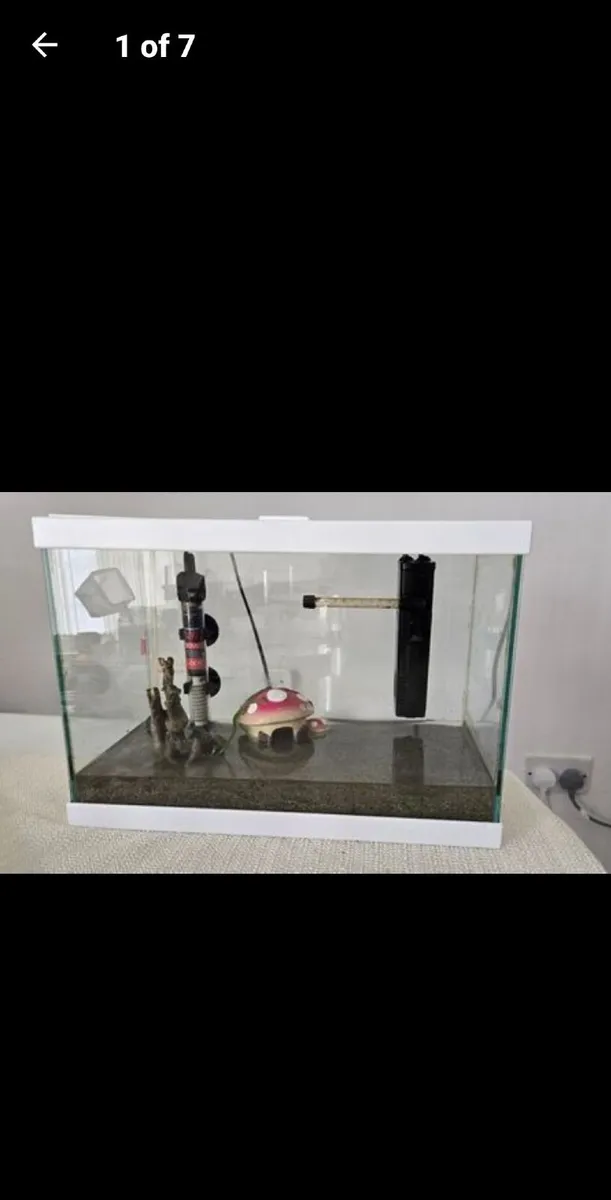 Fish tank - Image 4