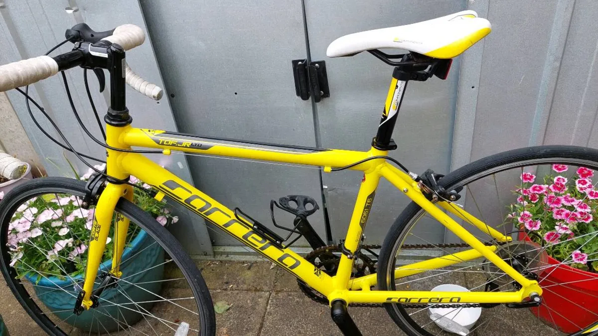 Carrera TDF.JR LTD - Image 2