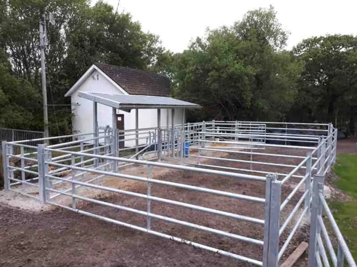 Cattle crush setups and yards - Image 1