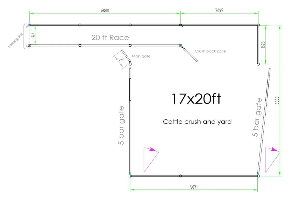 Cattle crush setups and yards - Image 3