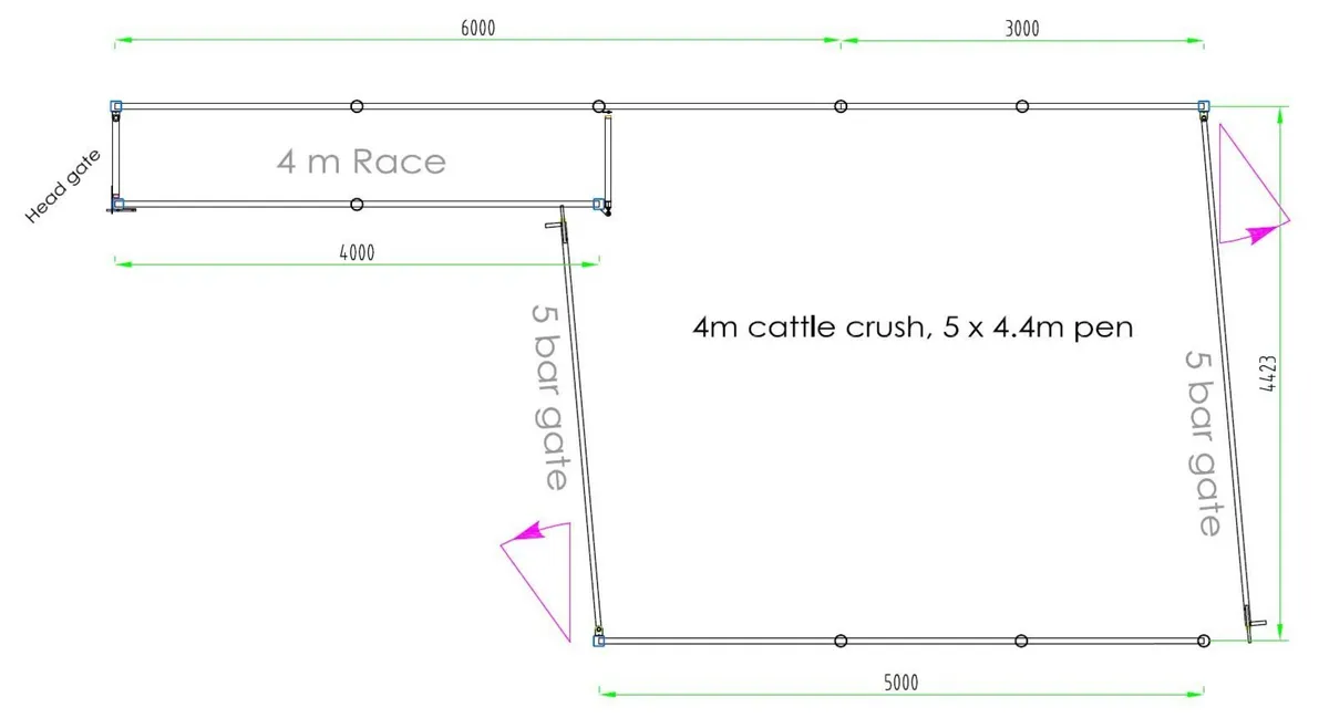 Cattle crush setups and yards - Image 4
