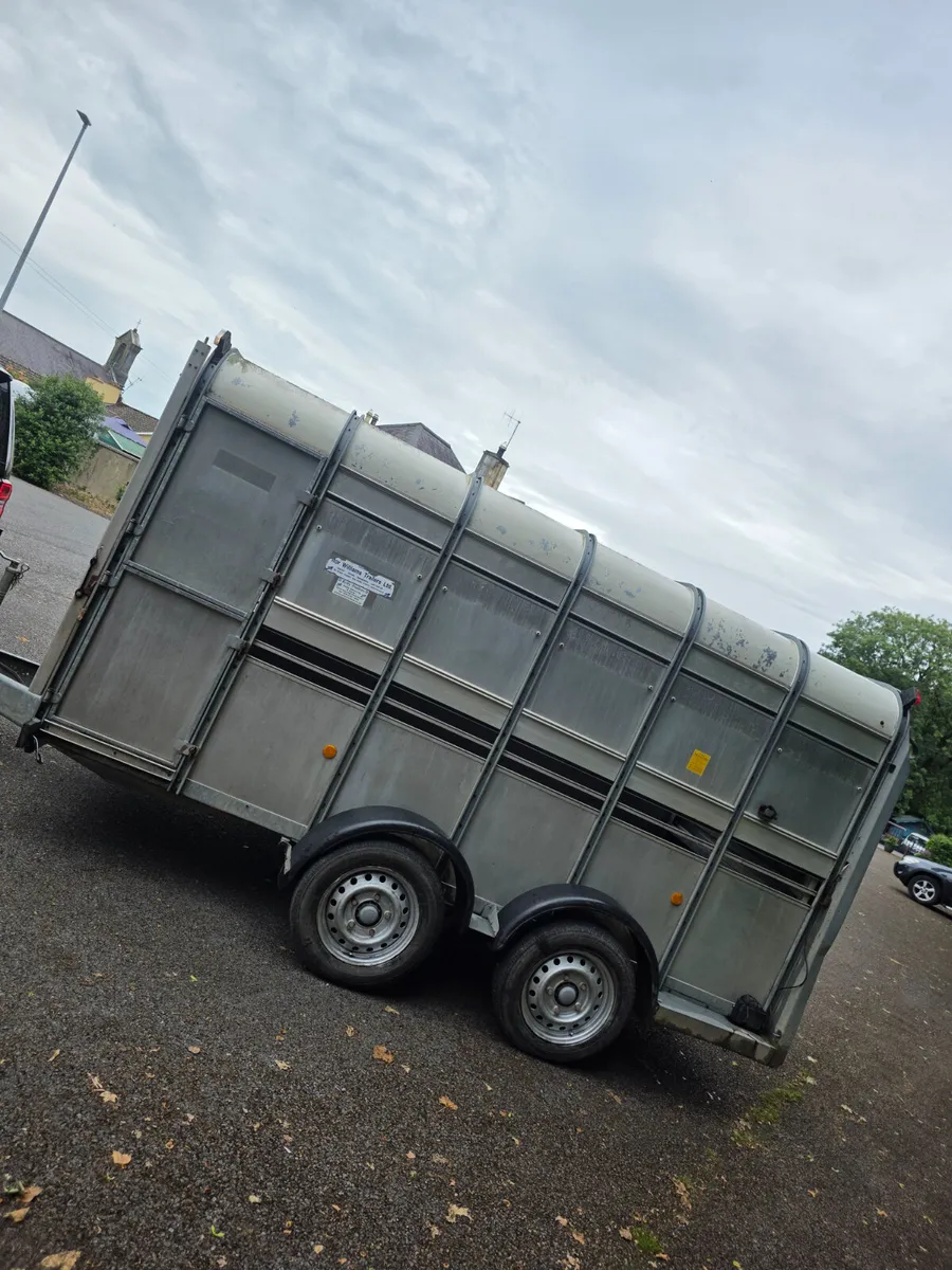 12ft ifor Williams livestock trailer - Image 4