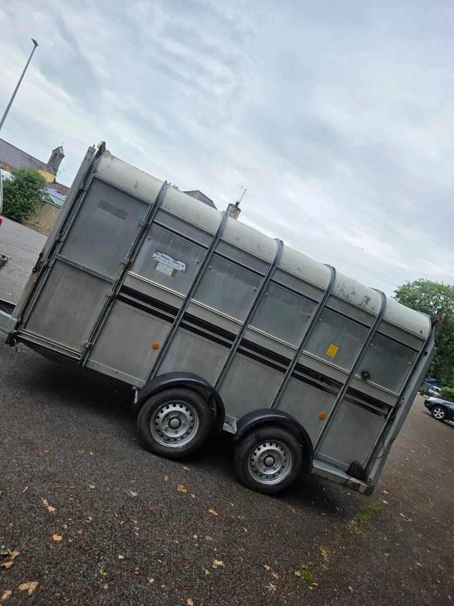 12ft ifor Williams livestock trailer - Image 3