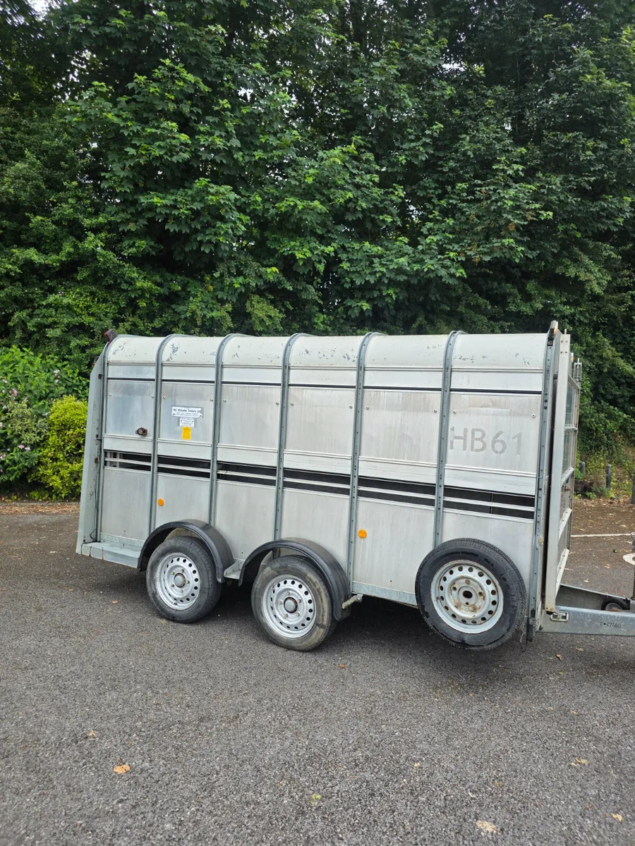 12ft ifor Williams livestock trailer - Image 1