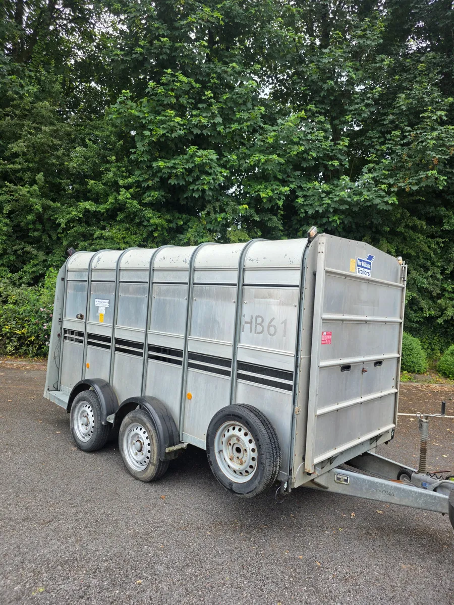 12ft ifor Williams livestock trailer - Image 2