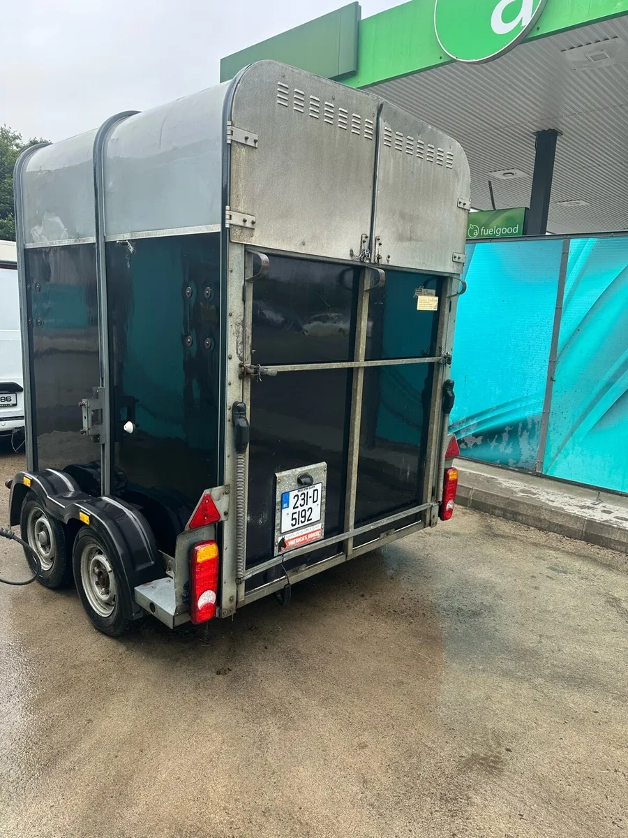 Ifor williams horse box 505 classic - Image 4