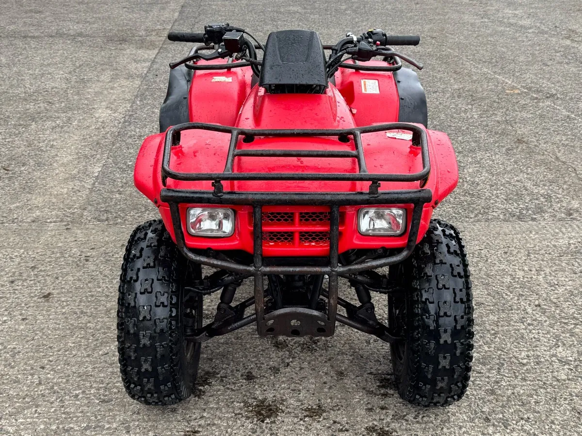 Honda Fourtrax 250 *Low Hours* - Image 3