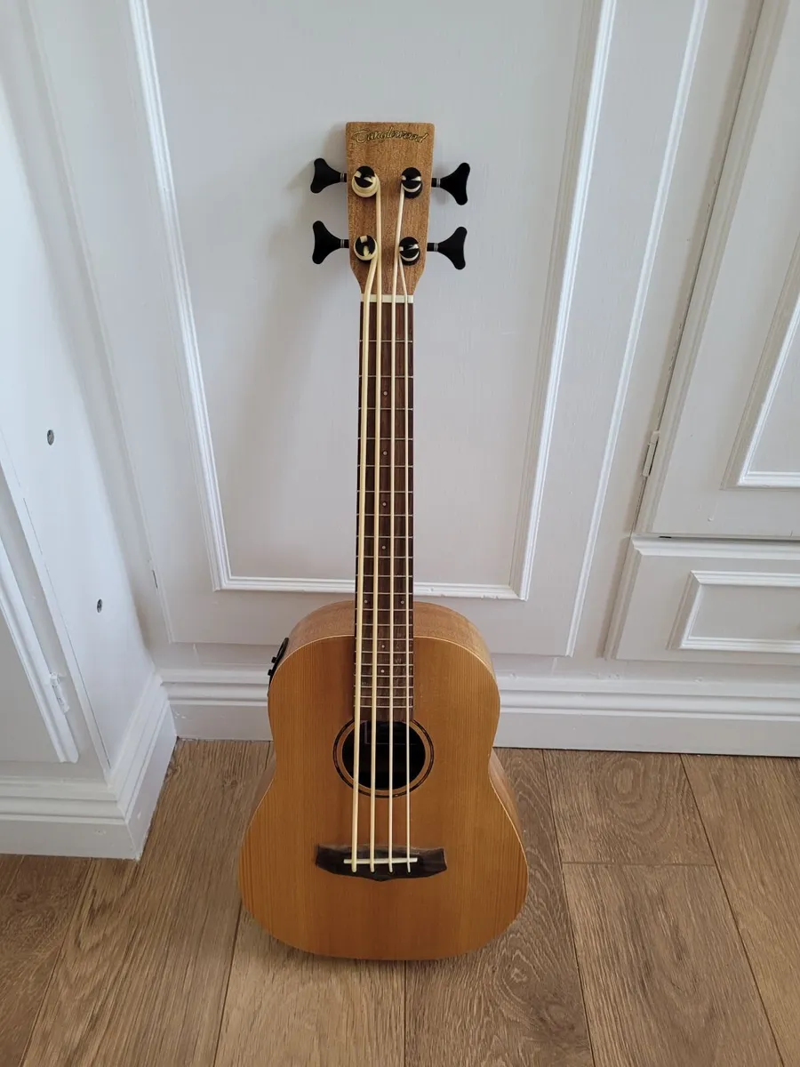 Guitar - Image 1