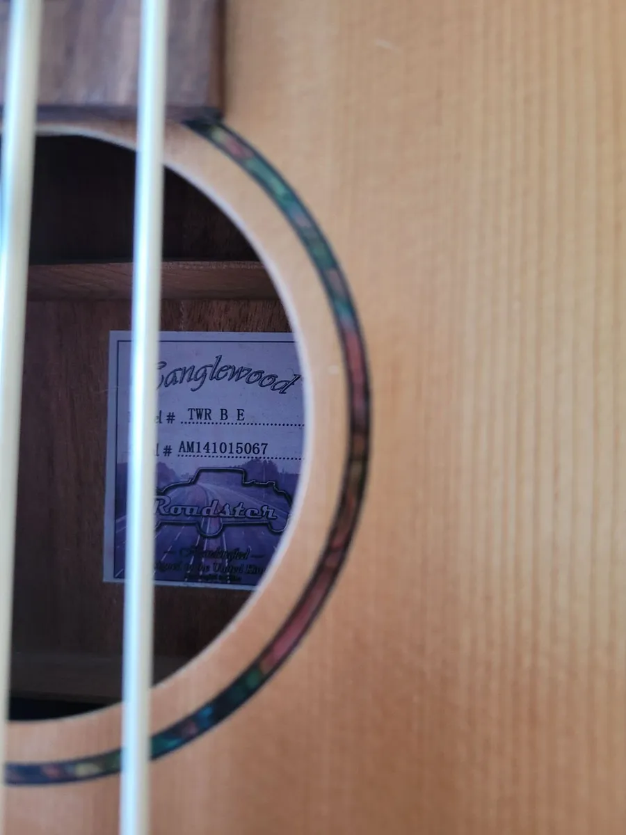 Guitar - Image 3