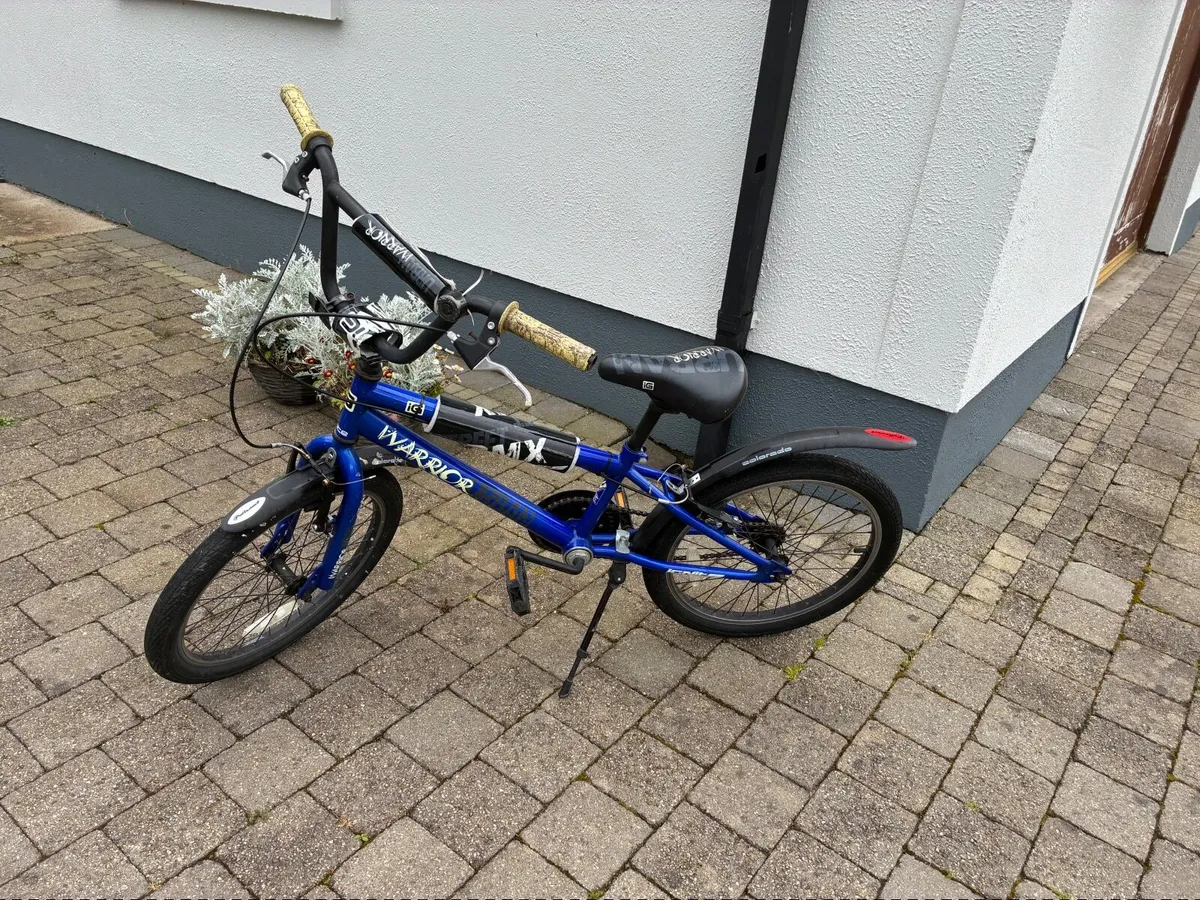 Bike - Image 2
