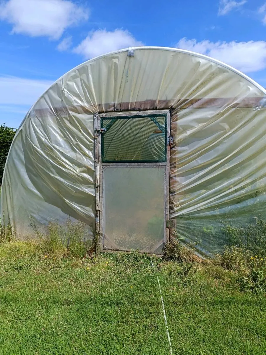 Poly Tunnel - Image 3