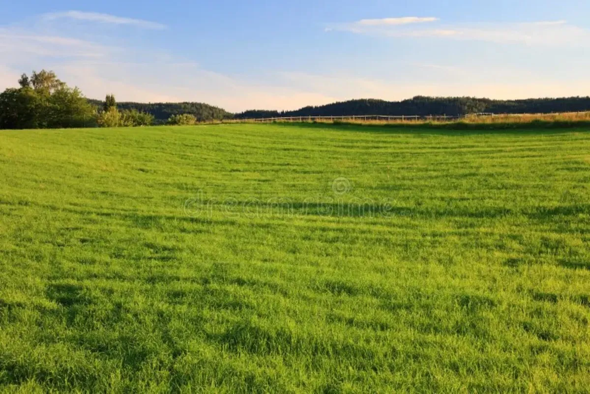 Looking Land for rent