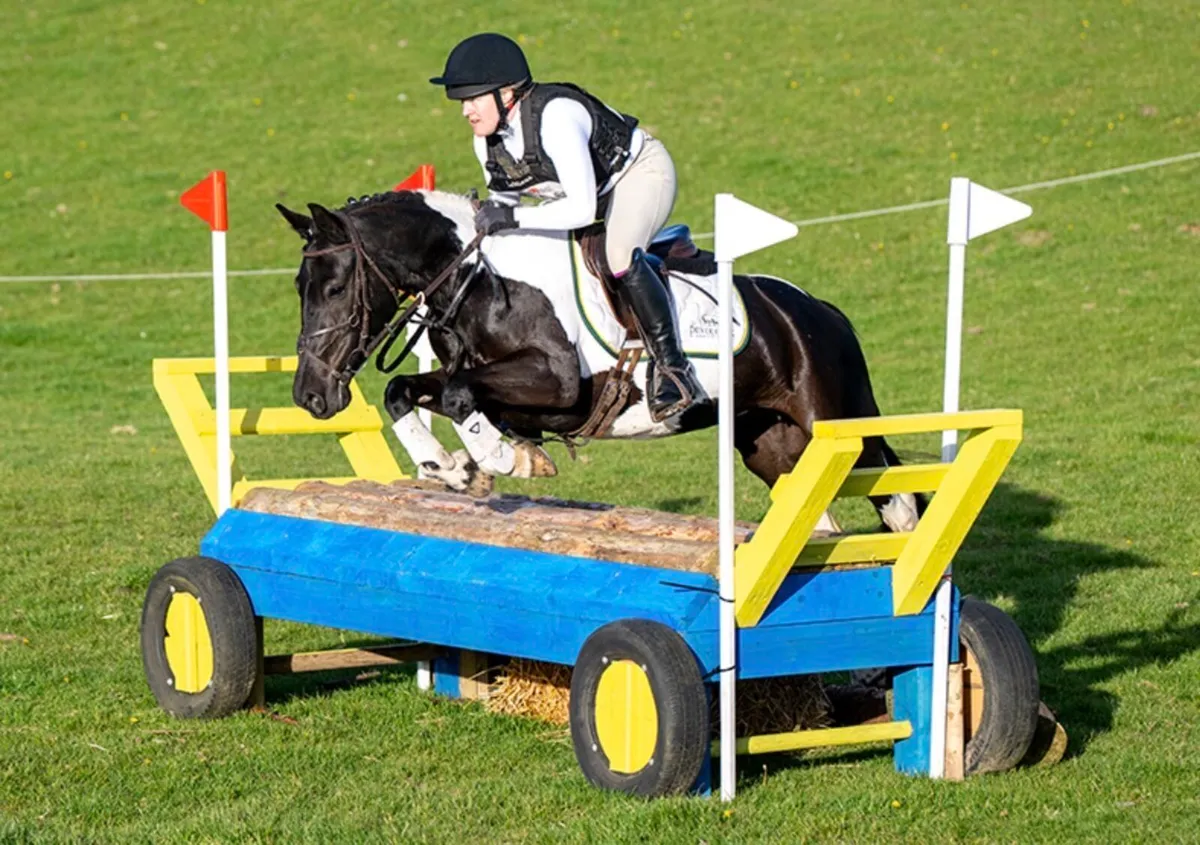 Pony club pony - Image 1