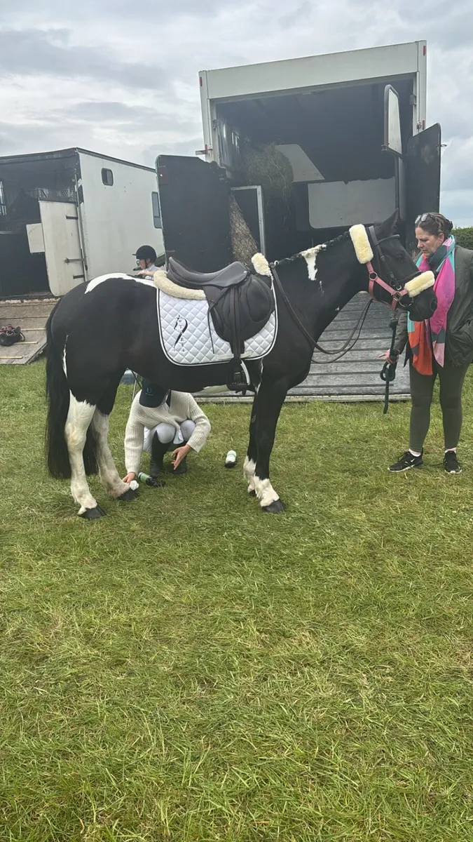 Pony club pony - Image 3