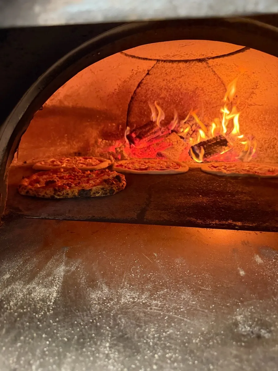 Pavesi Forni Joy 140 Woodfired Pizza Oven - Image 3
