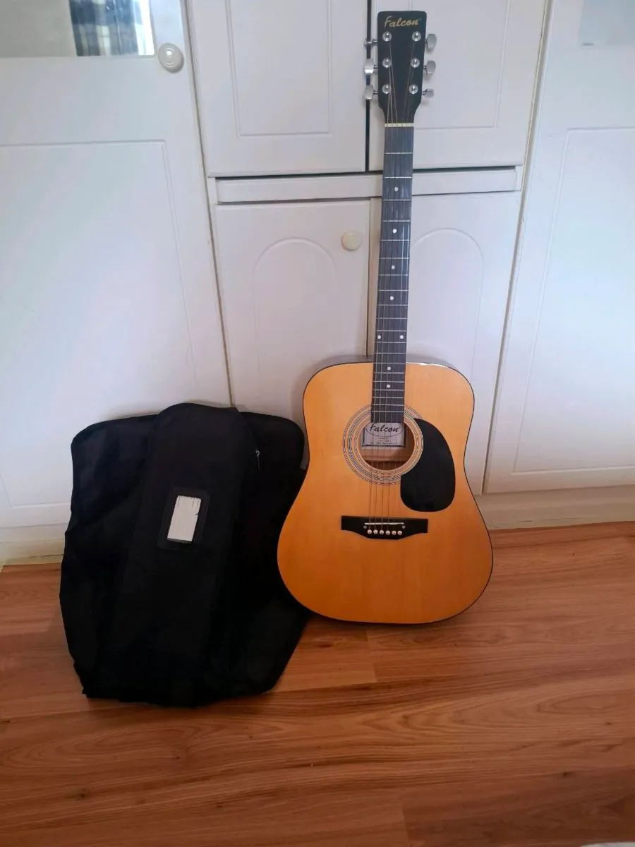 Beginner Acoustic Guitar