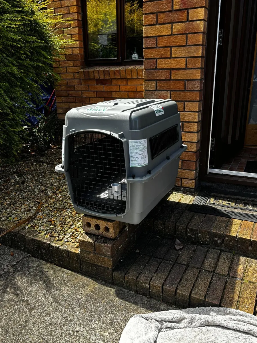 Petmate Sky Kennel Airline Approved Crate for dogs - Image 1