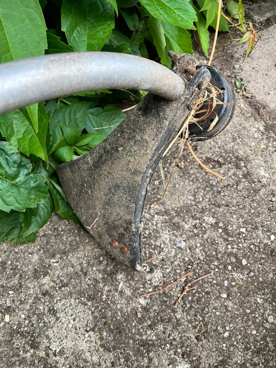 Strimmer - Image 3