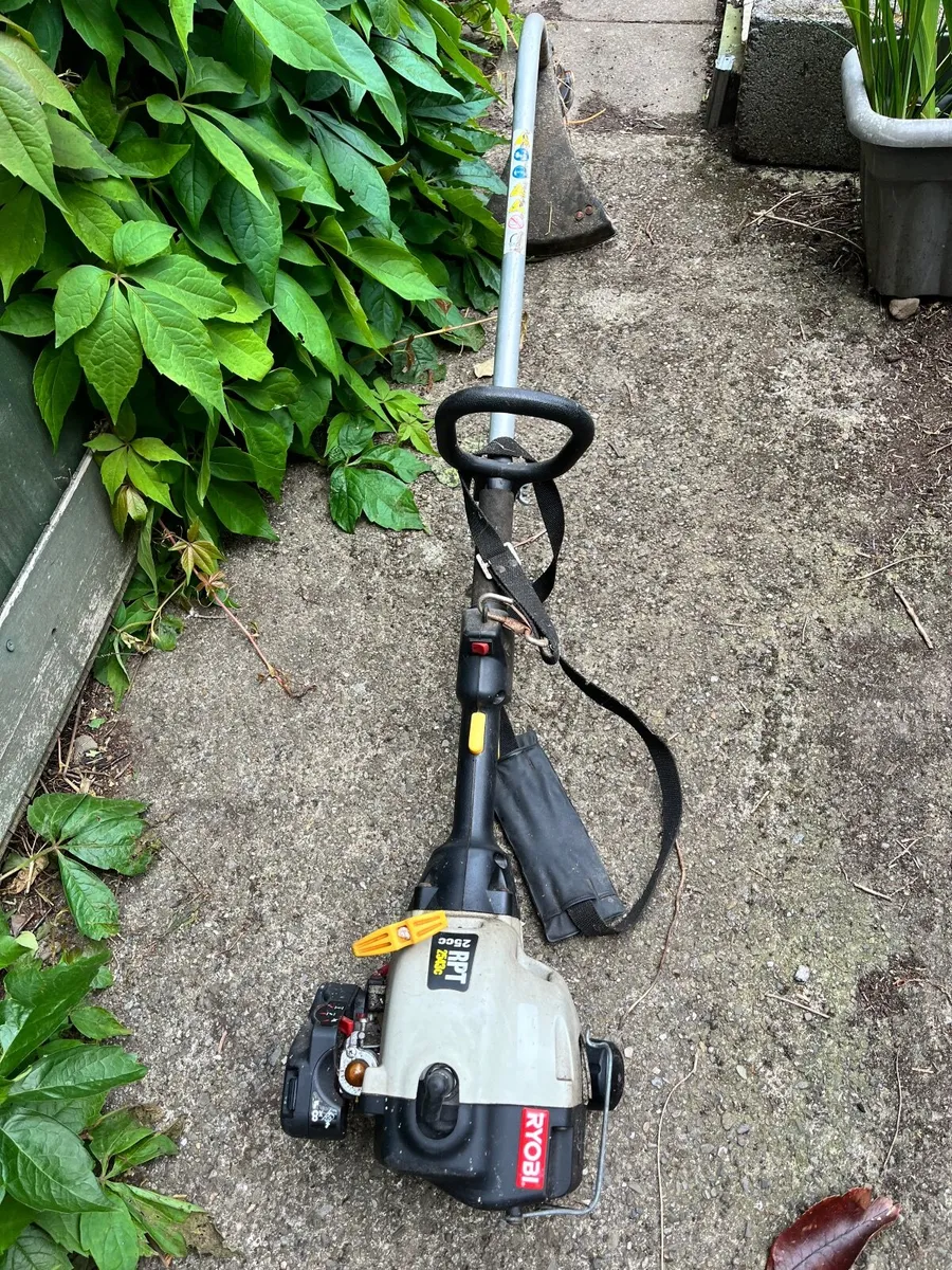 Strimmer - Image 1