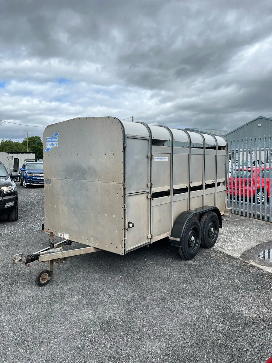 Ifor Williams Livestock Trailer - Image 2