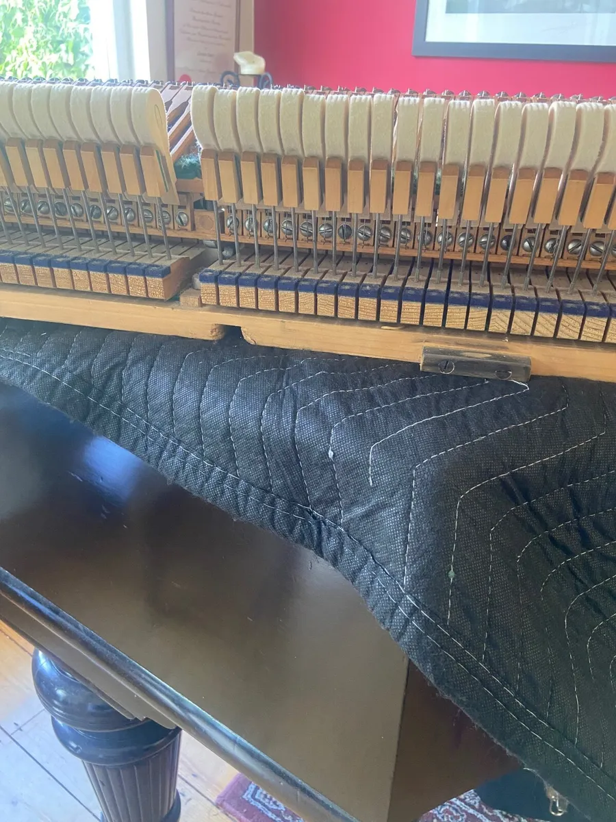 Piano Tuning & Repair - Fifth Generation - Image 3