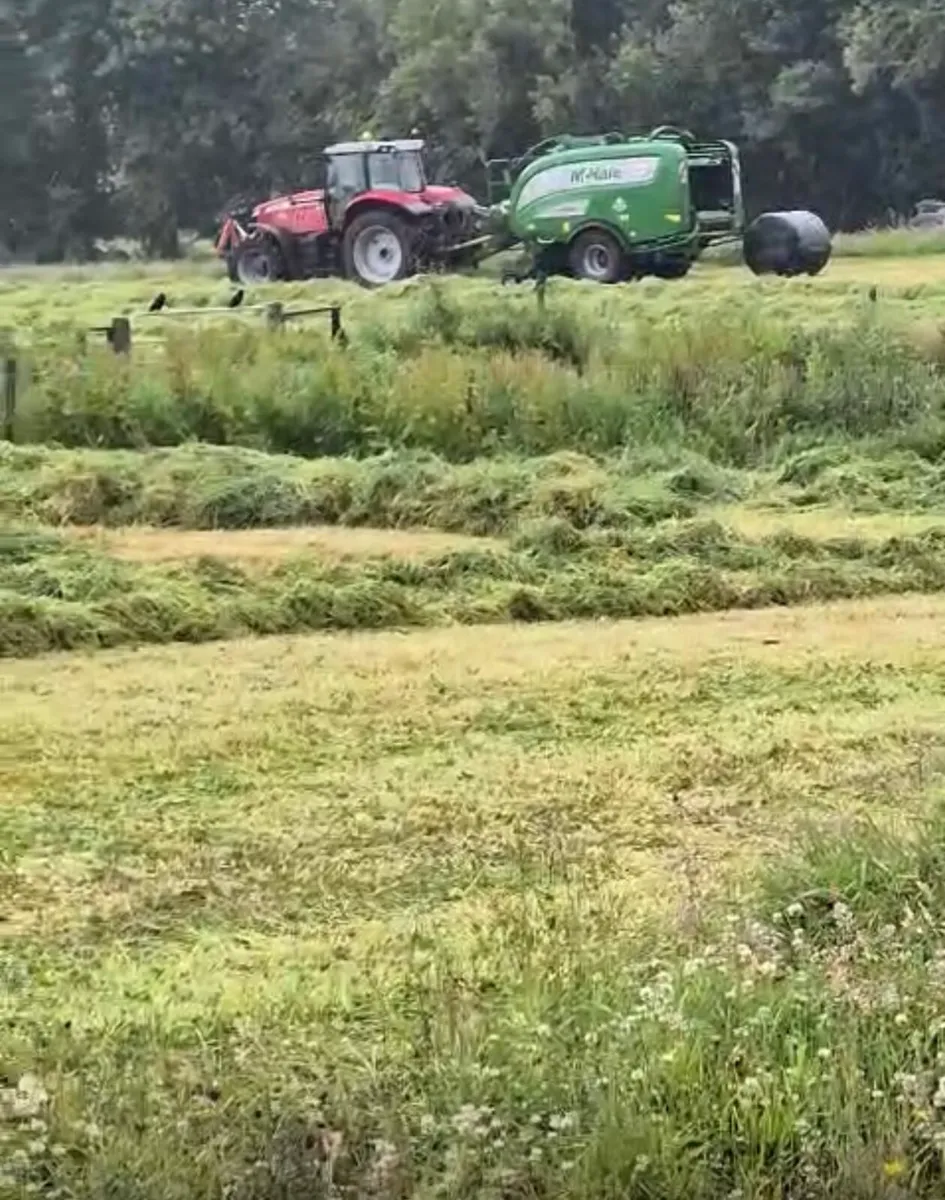 Silage bales - Image 1