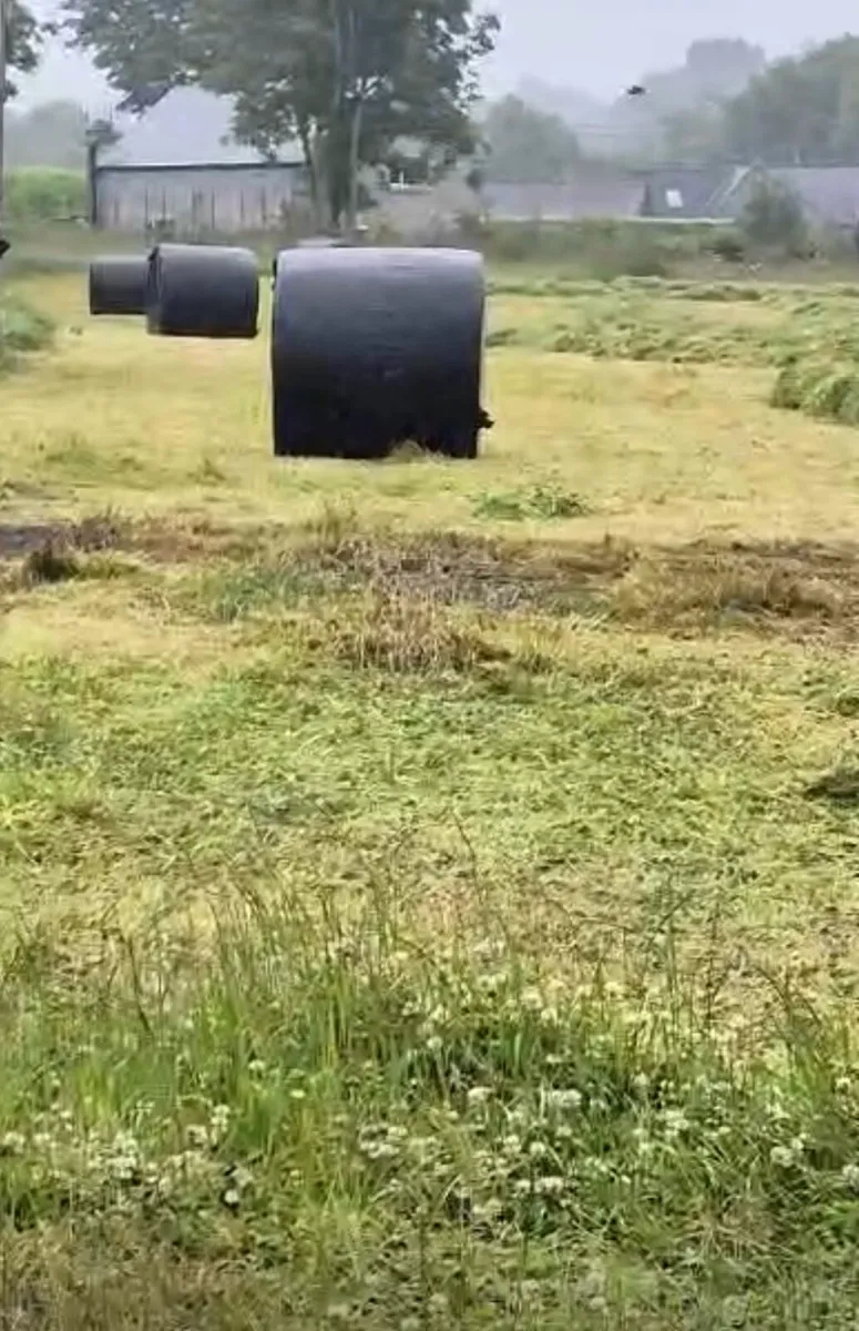 Silage bales - Image 2