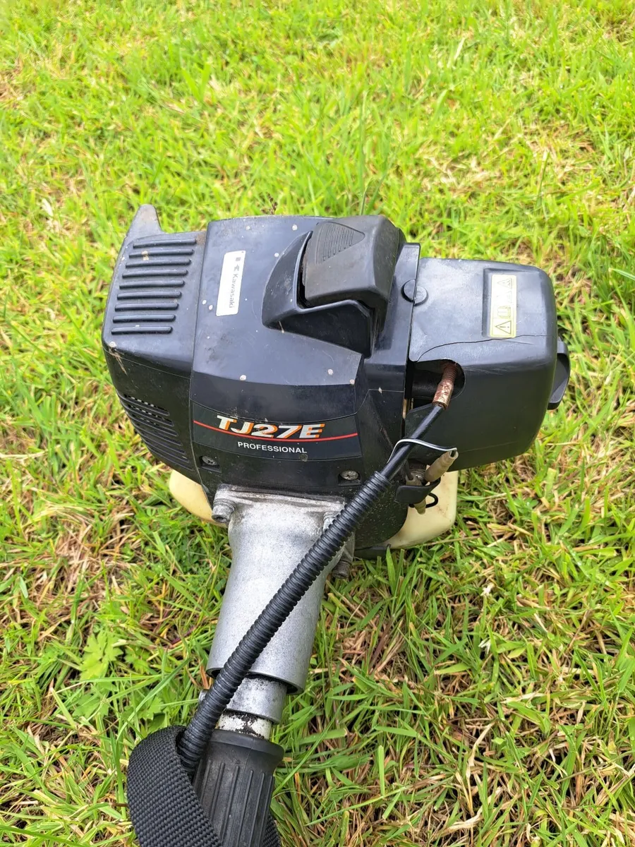 Strimmer - Image 1