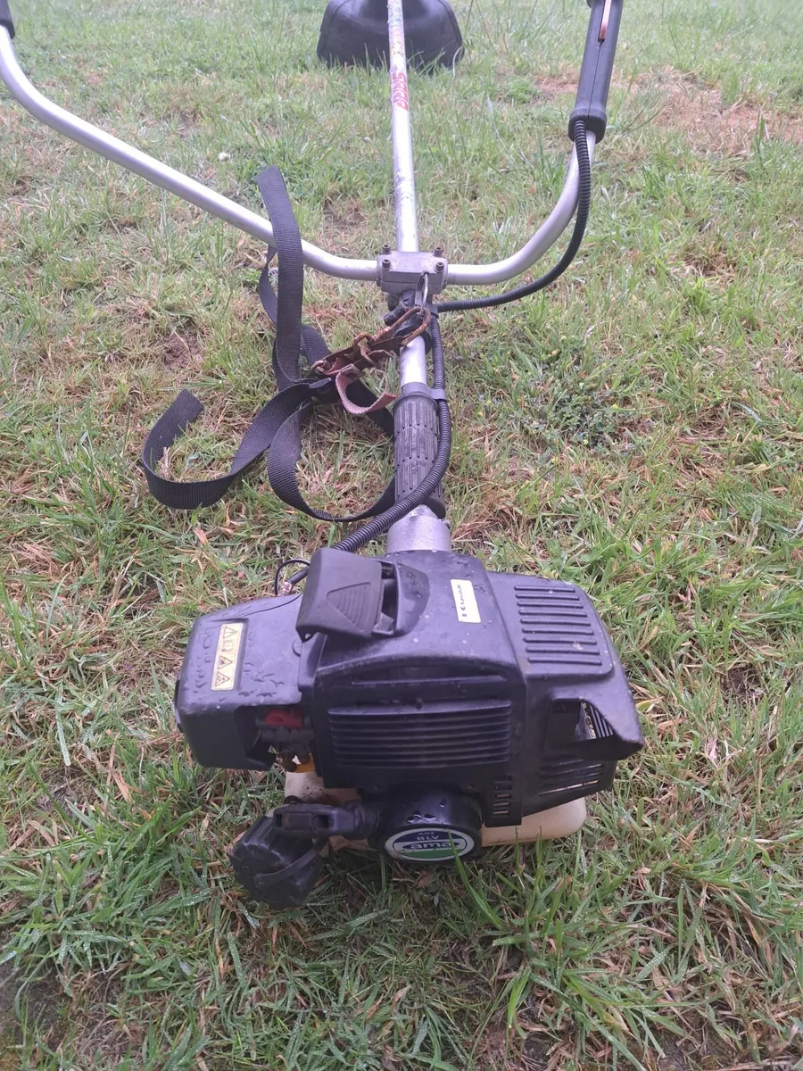 Strimmer - Image 2