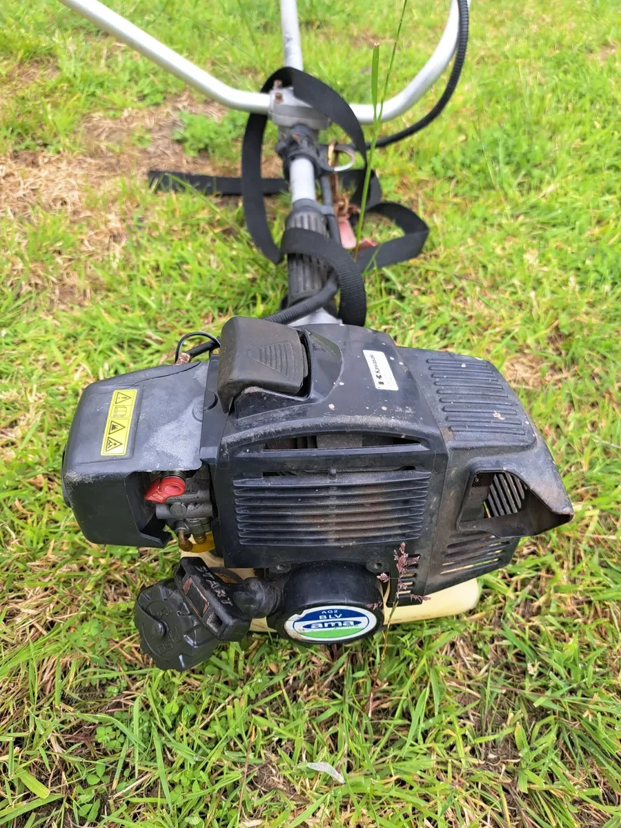 Strimmer - Image 3