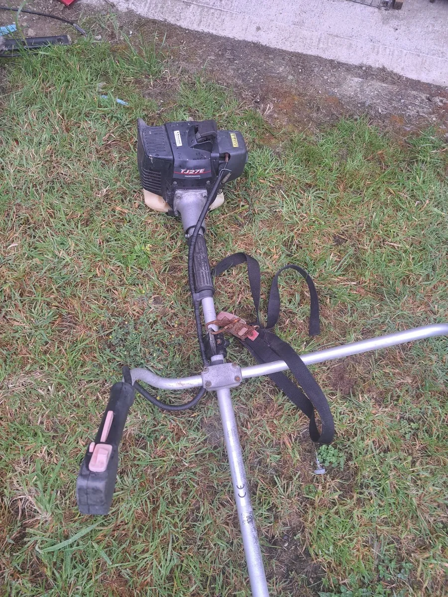 Strimmer - Image 4