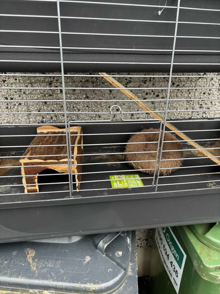 2 story cage - Image 4