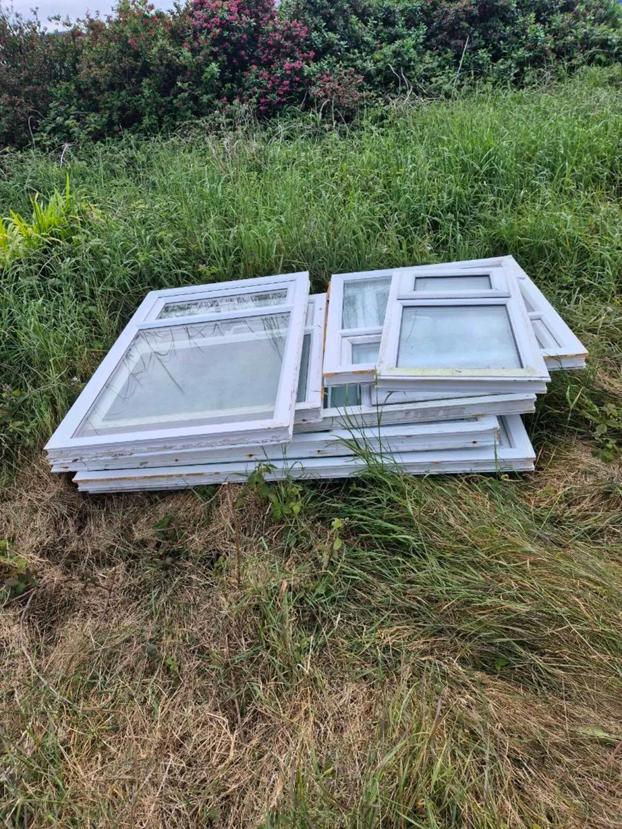 Velux sky lights and windows - Image 3