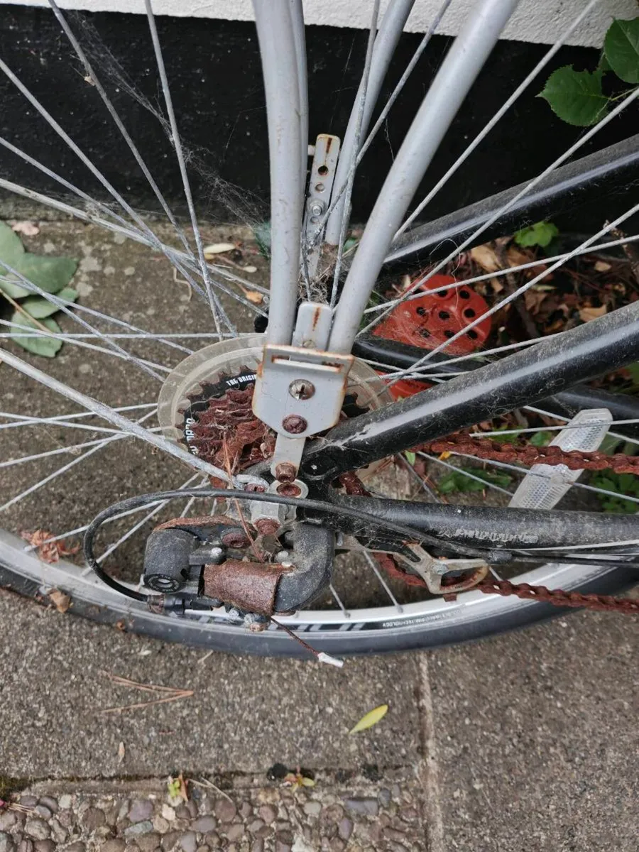 Tandem Bicycle - Image 2