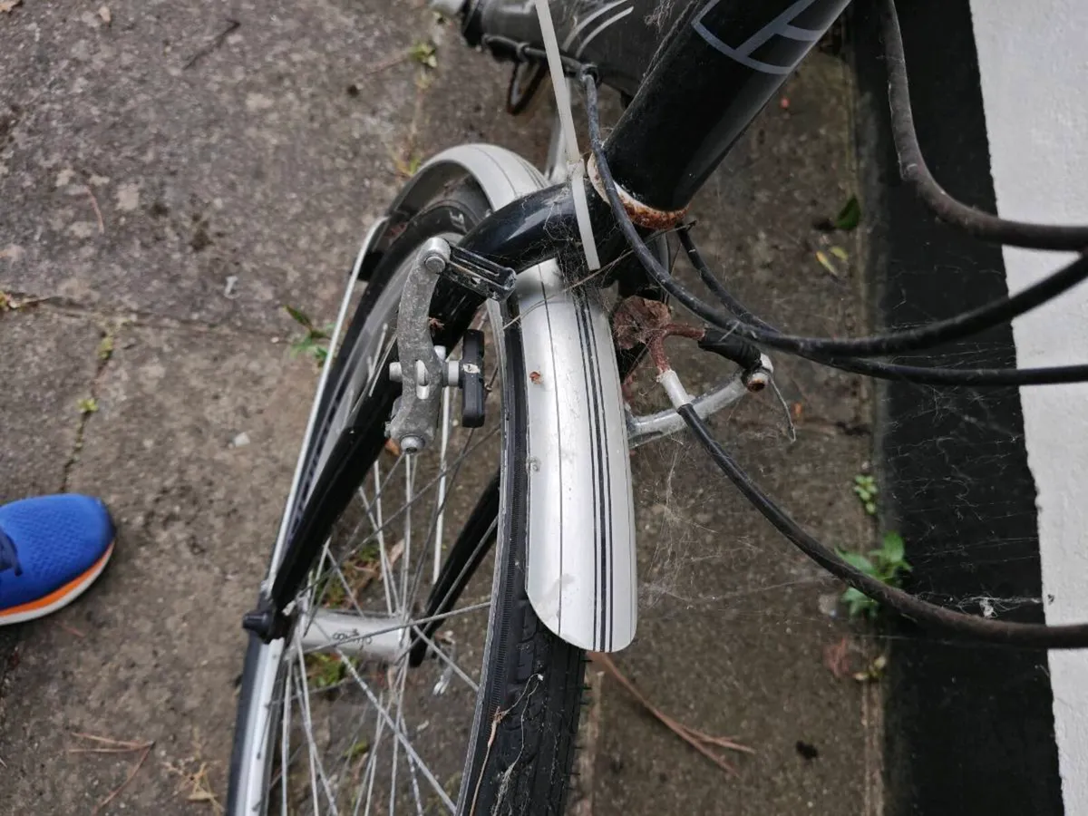 Tandem Bicycle - Image 3