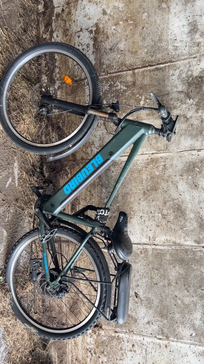 Bluebird electric bike - Image 1
