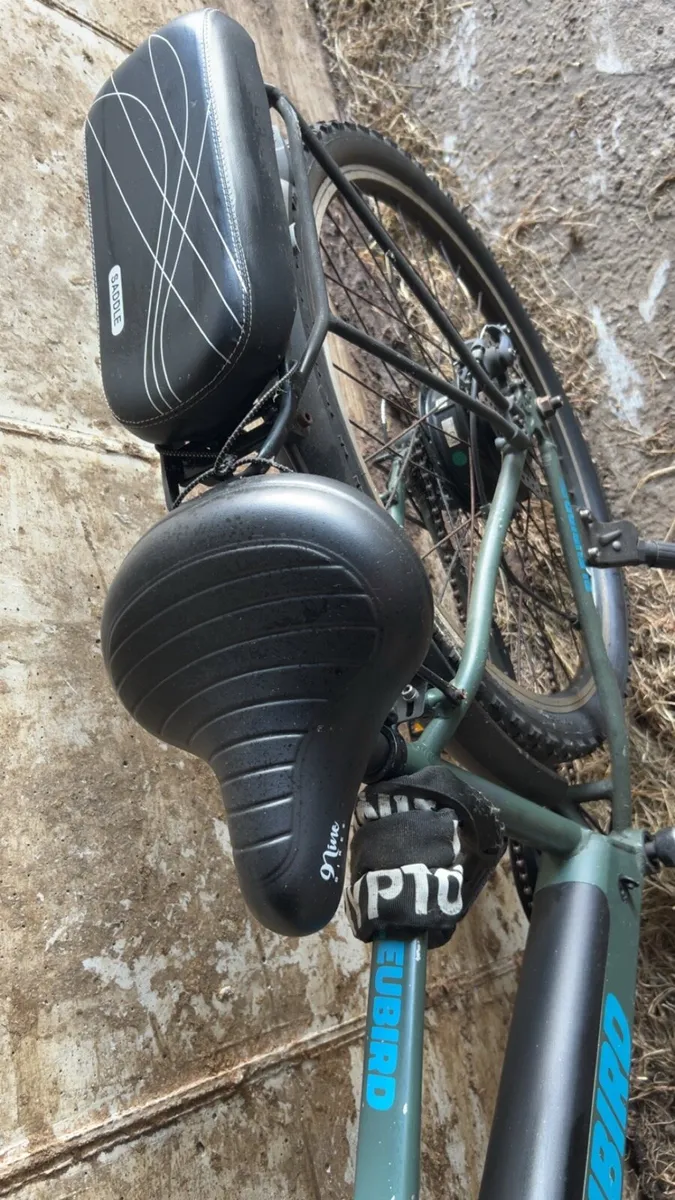 Bluebird electric bike - Image 4