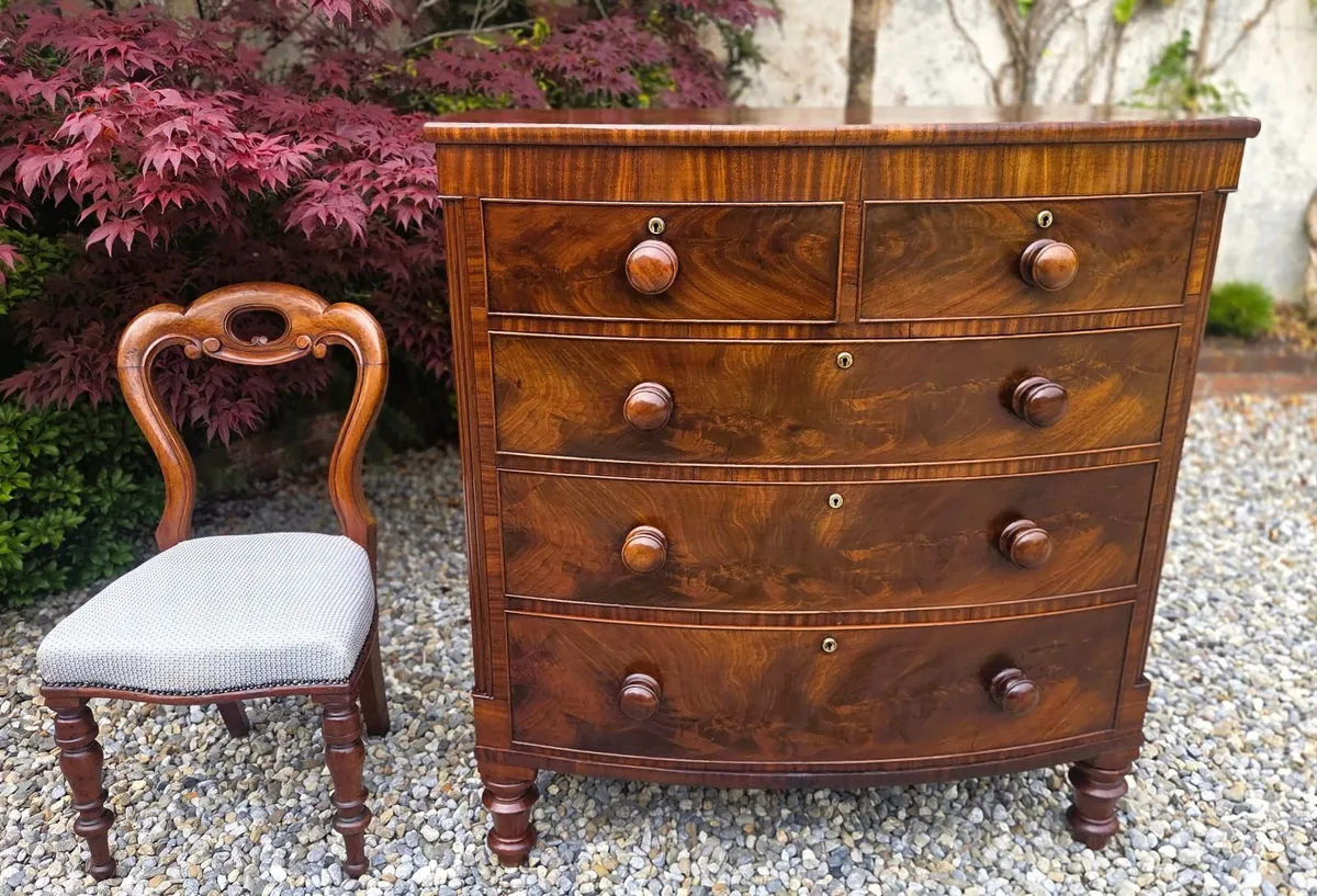 Victorian Bow Front Chest- Circa 1870 - Image 2