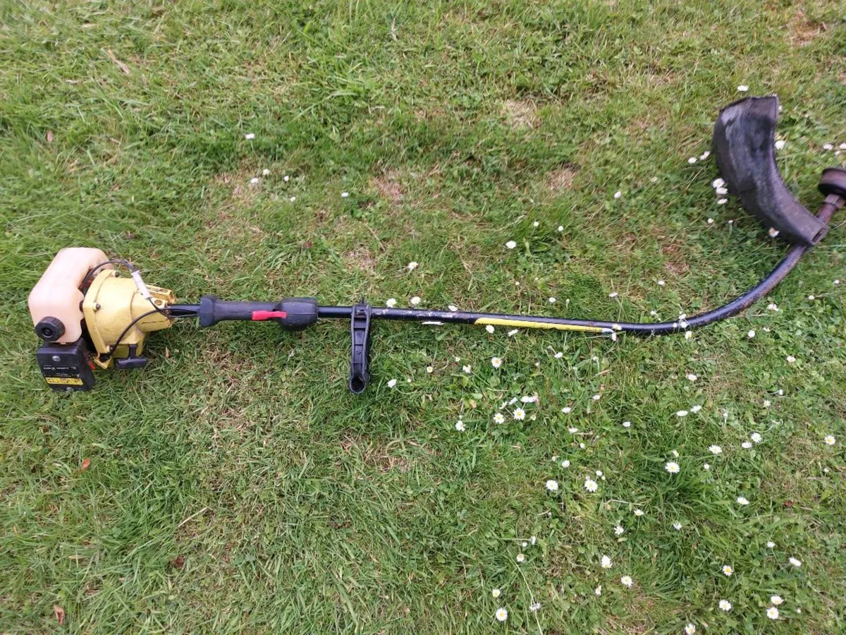 Strimmer - Image 4
