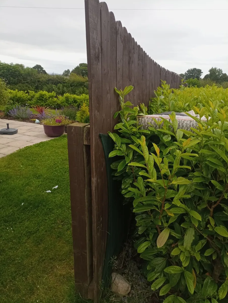 Garden fence 16 Metres in Length - Image 2