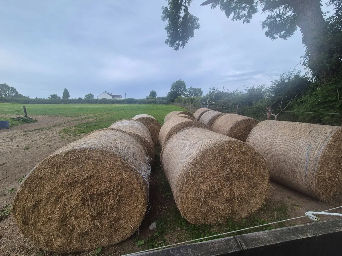 11 bales of hay - Image 1
